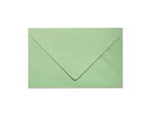 1000 enveloppes pour bulletin de vote vert 90 x 140mm 70g