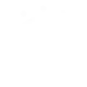 Efficiency icon